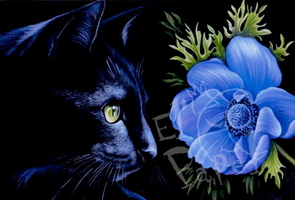 Ansichtkaart 'Blauwe ranonkel'