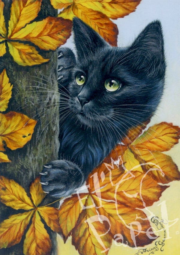 Ansichtkaart 'Zwarte kat'