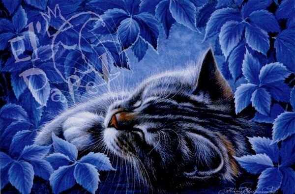 Ansichtkaart 'Schemering'