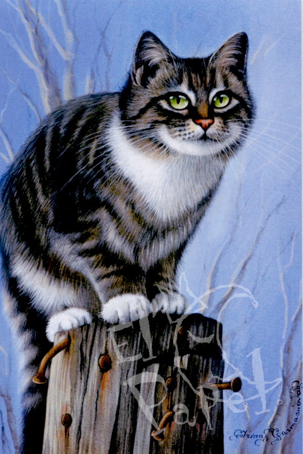 Ansichtkaart 'Paalzitten'