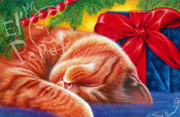 Een fijne relaxte Kerst!