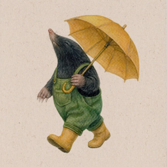 De nieuwste ansichtkaarten met de prachtige, realistische illustraties van dieren door Lonneke Grimbergen Art.