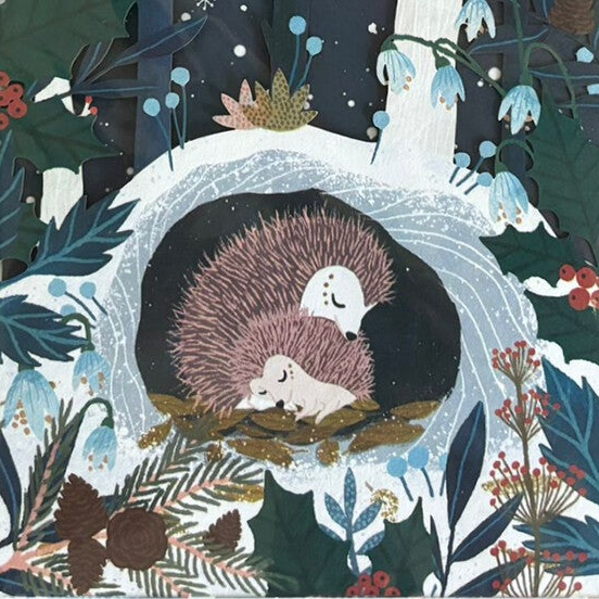 Mooie luxe KERST, 'lasercut' (uitgestanste), wenskaarten van Roger la Borde.