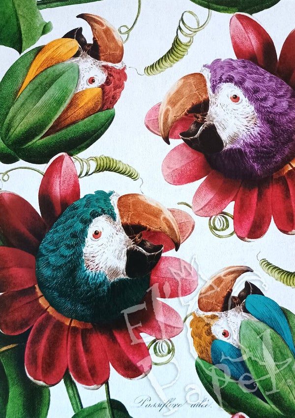 Ansichtkaart 'Bloemen-papegaaien'