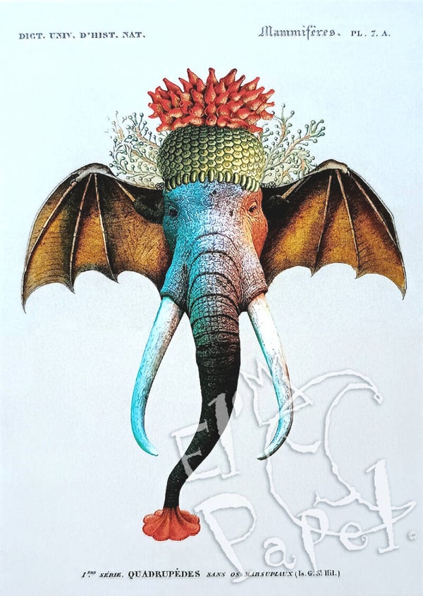 Ansichtkaart 'Mythische olifant'