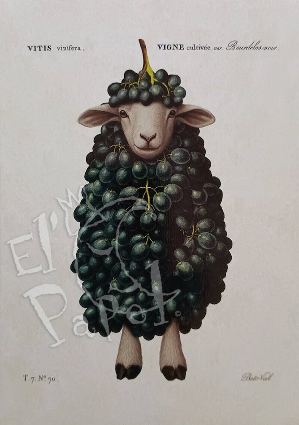 Ansichtkaart 'Druif-schaap'