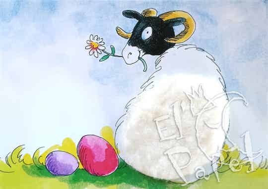 Ansichtkaart 'Een schaapje voor jou' (pluche)