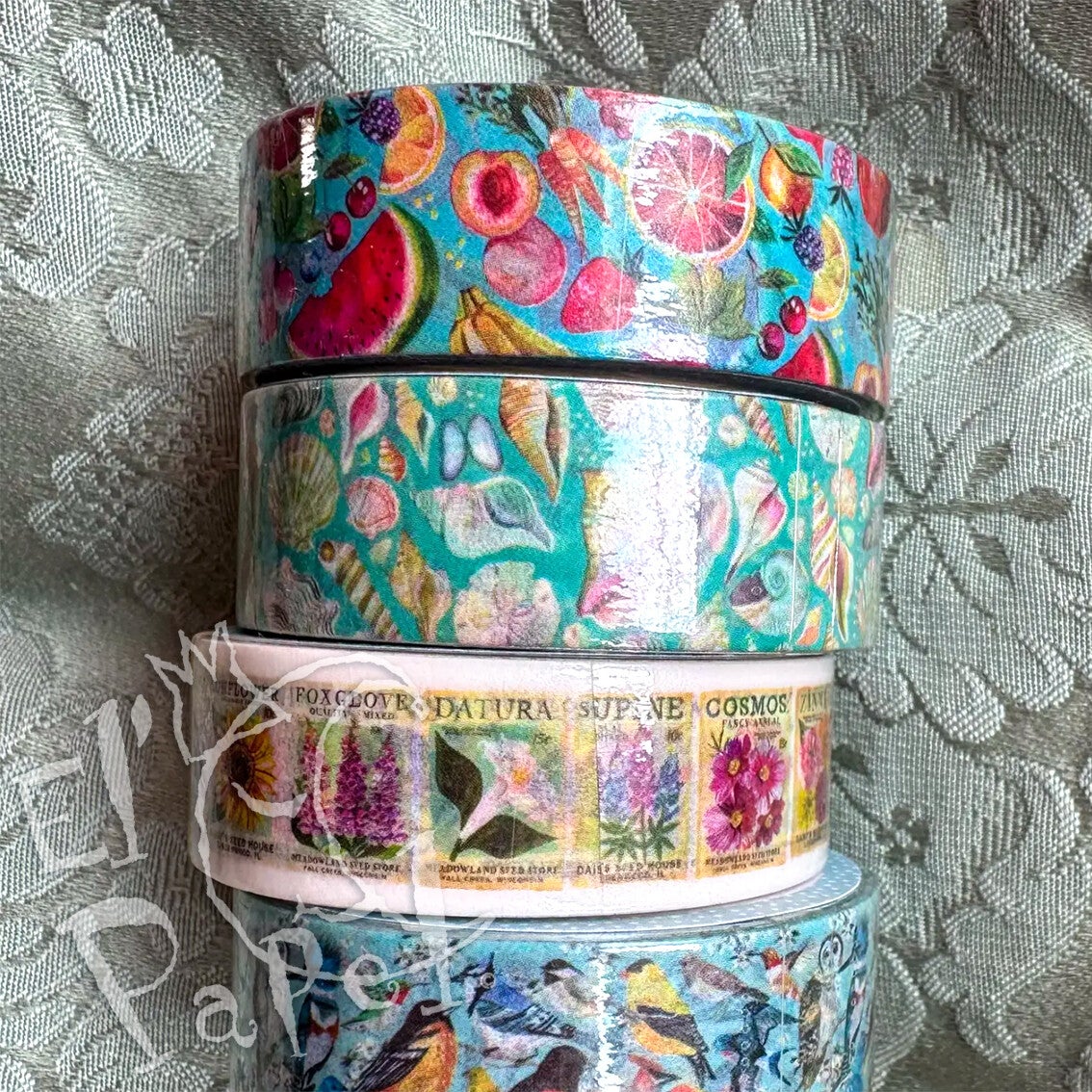Katie Daisy Washi Tape Set 'Fruit, groente, schelpen, bloemen en vogels'