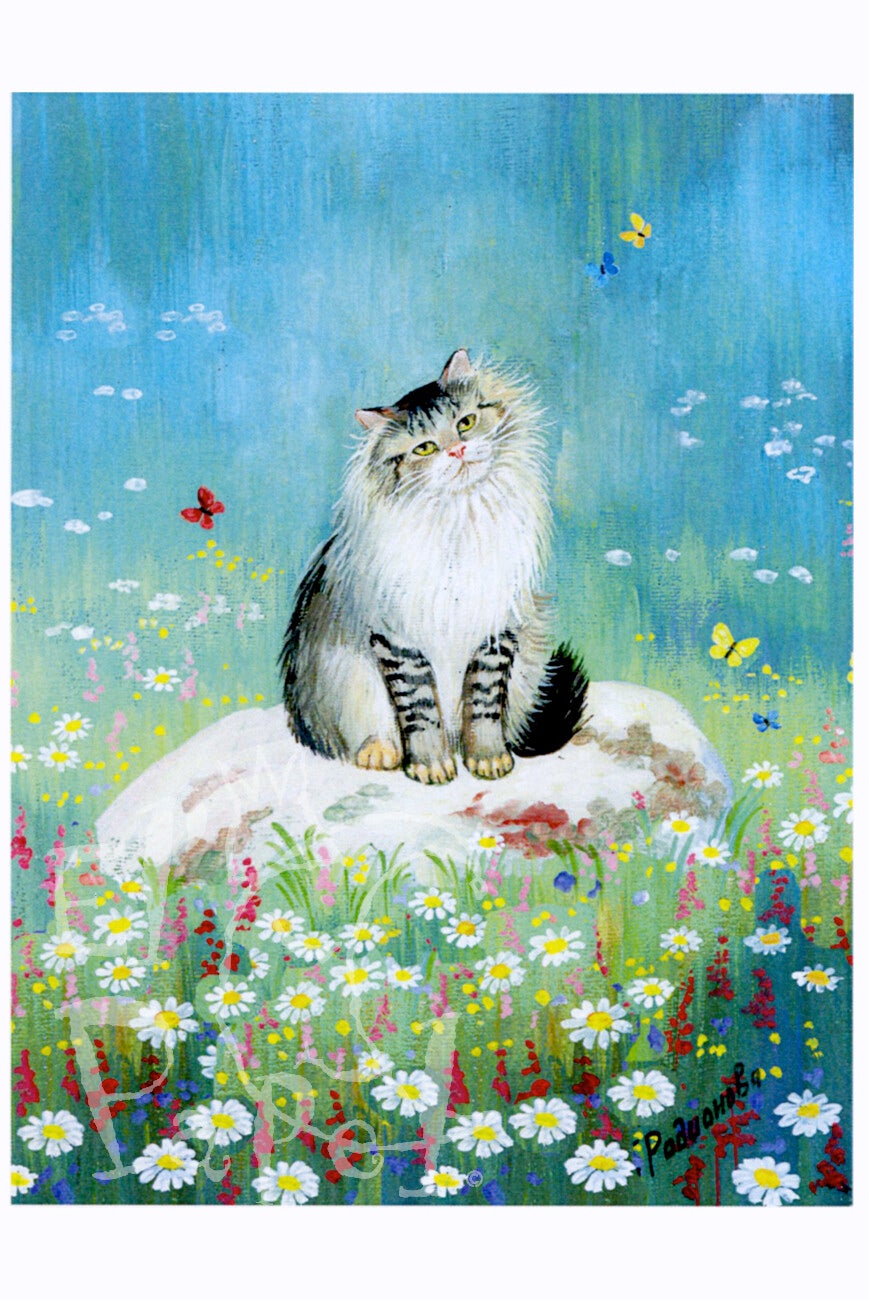 Ansichtkaart 'Zonnige weide'