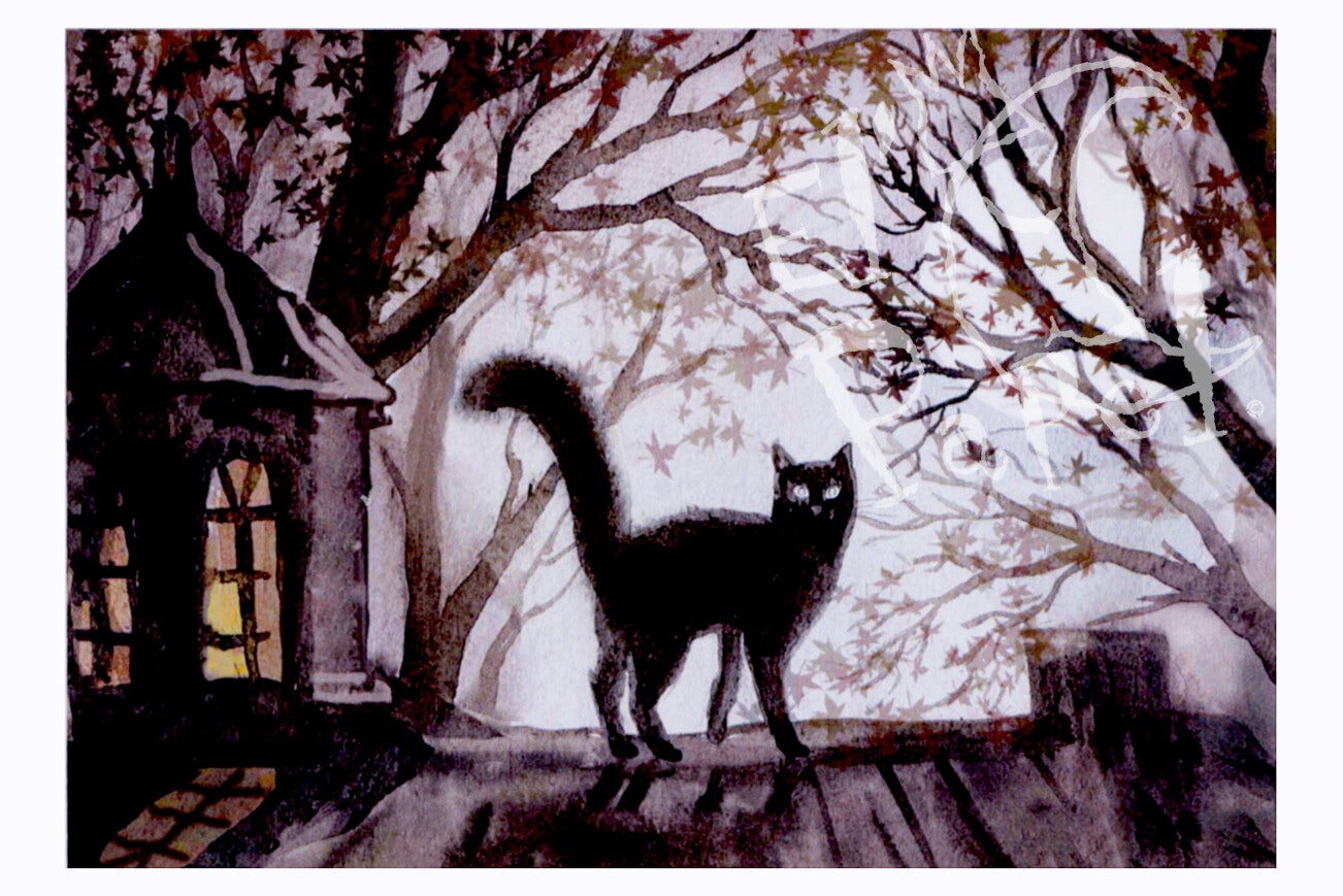 Ansichtkaart 'Volle maan'