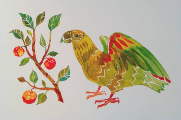 Ansichtkaart 'Papegaai met sinaasappels'