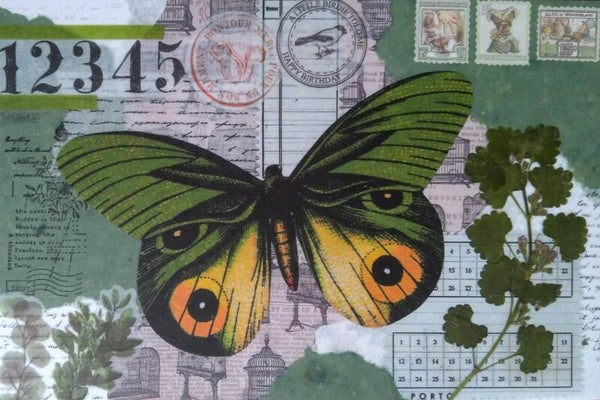 OP!! Ansichtkaart 'Vlinder in het groen - collage'