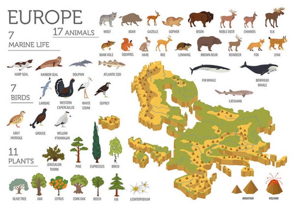 Ansichtkaart 'De flora en fauna van Europa'