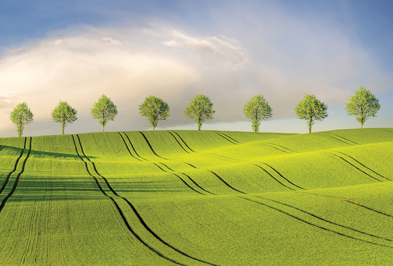 Ansichtkaart 'Lentevelden'