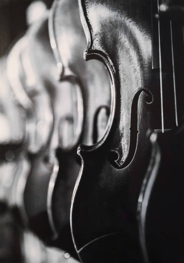 Ansichtkaart 'Violen'