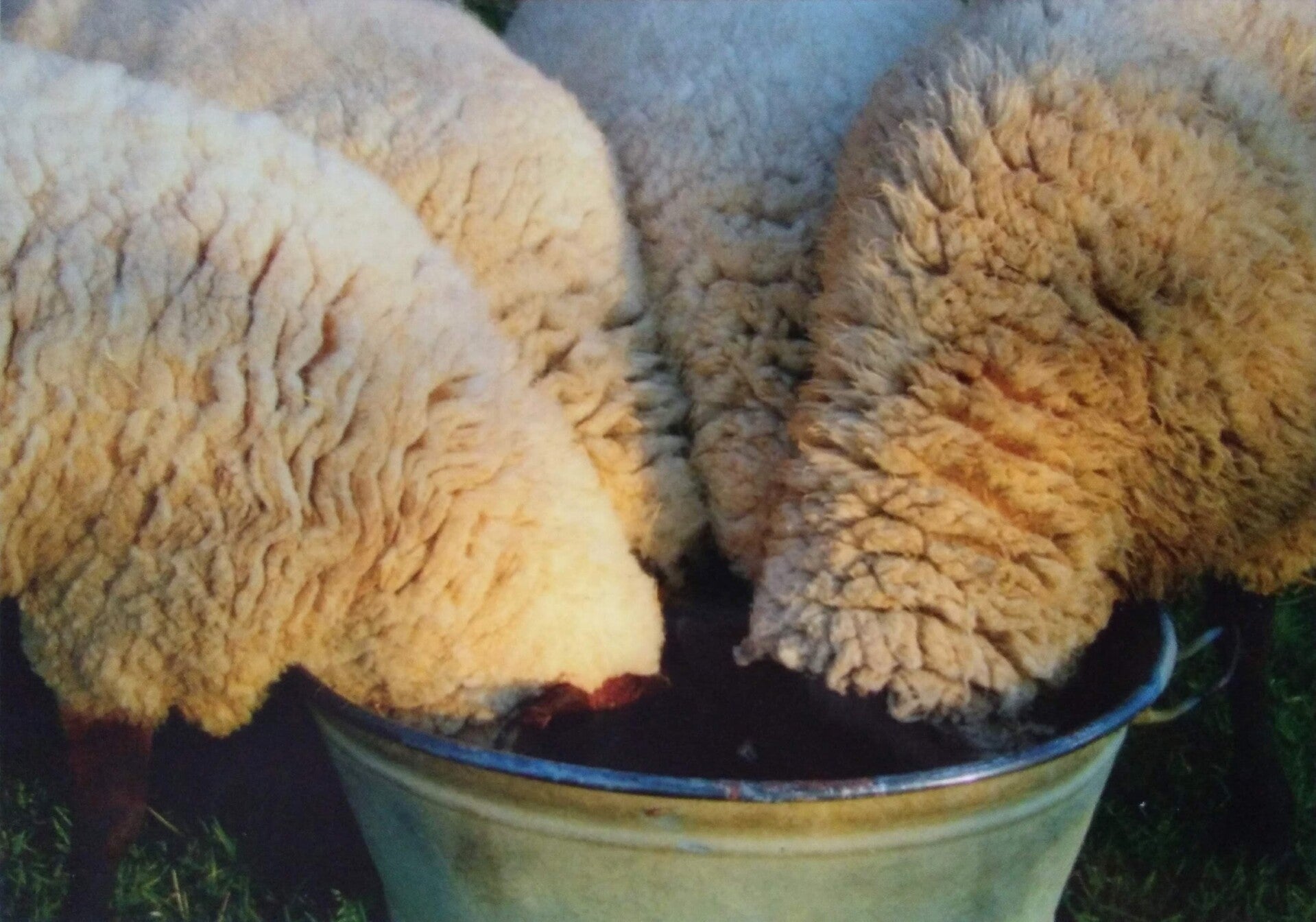 Ansichtkaart 'Samen drinken'