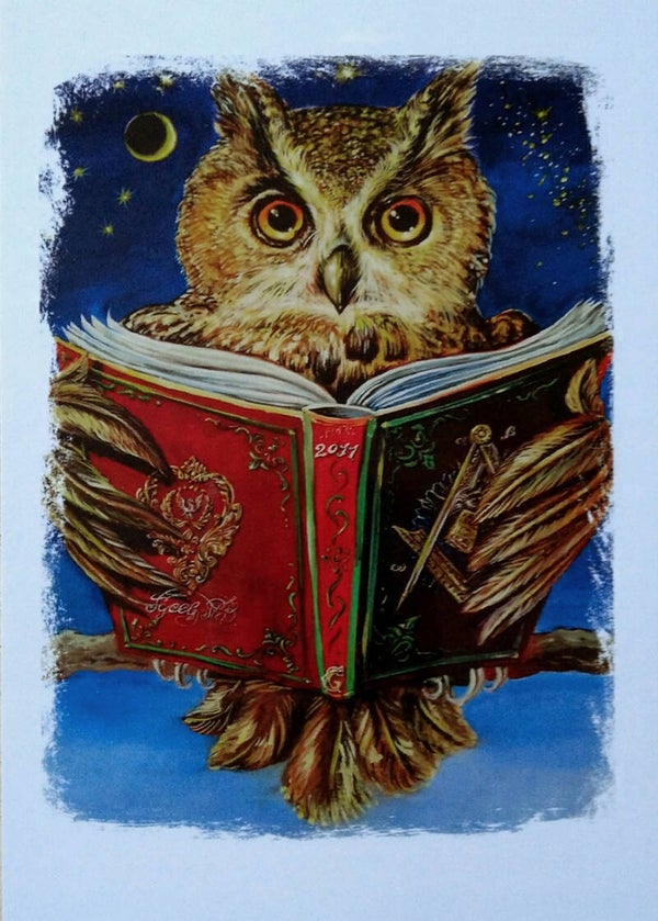 OP!! Ansichtkaart 'Wijze uil'
