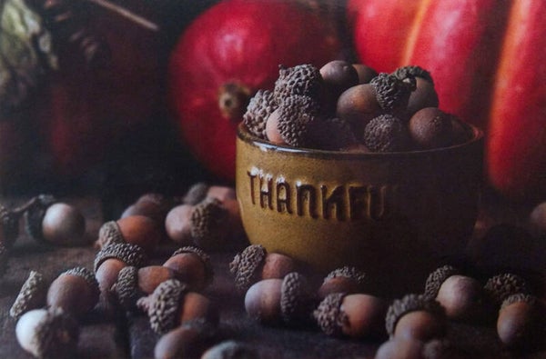 OP!! Ansichtkaart 'Stilleven voor eekhoorns'