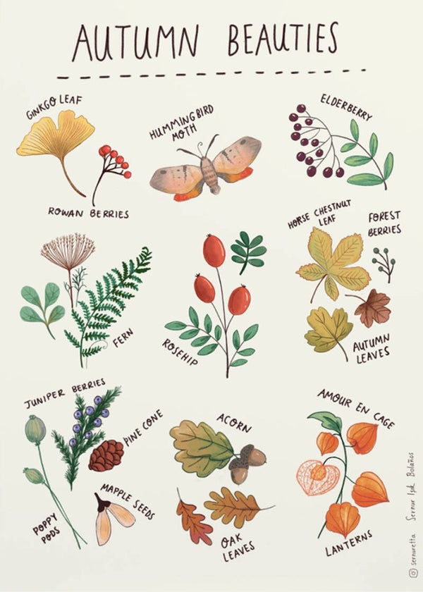 Ansichtkaart 'Herfst-cadeautjes'