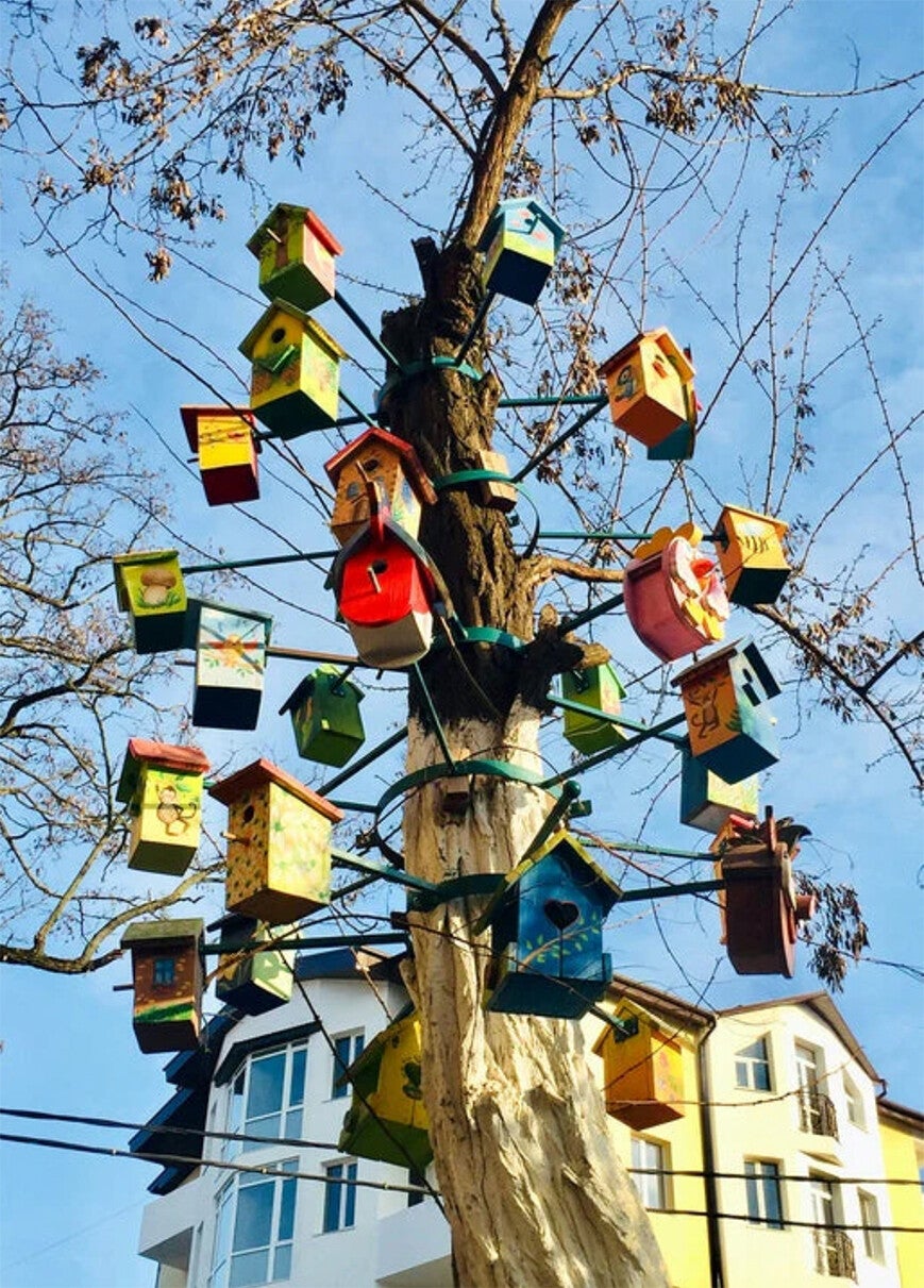 Ansichtkaart 'Zin in het voorjaar'