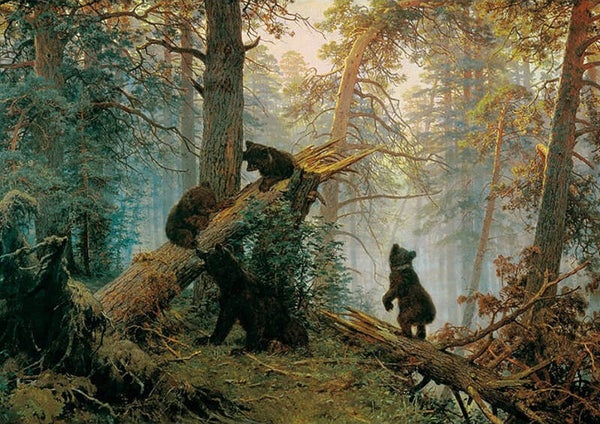 OP!! Ansichtkaart 'Jonge beertjes in het bos'