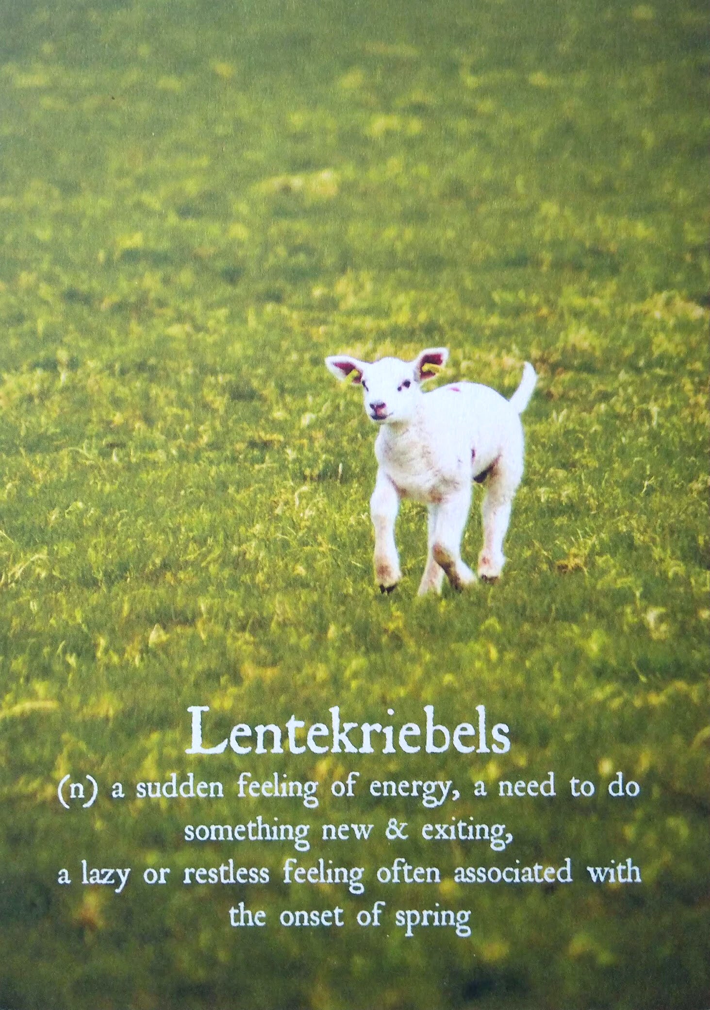 Ansichtkaart 'Lentekriebels'