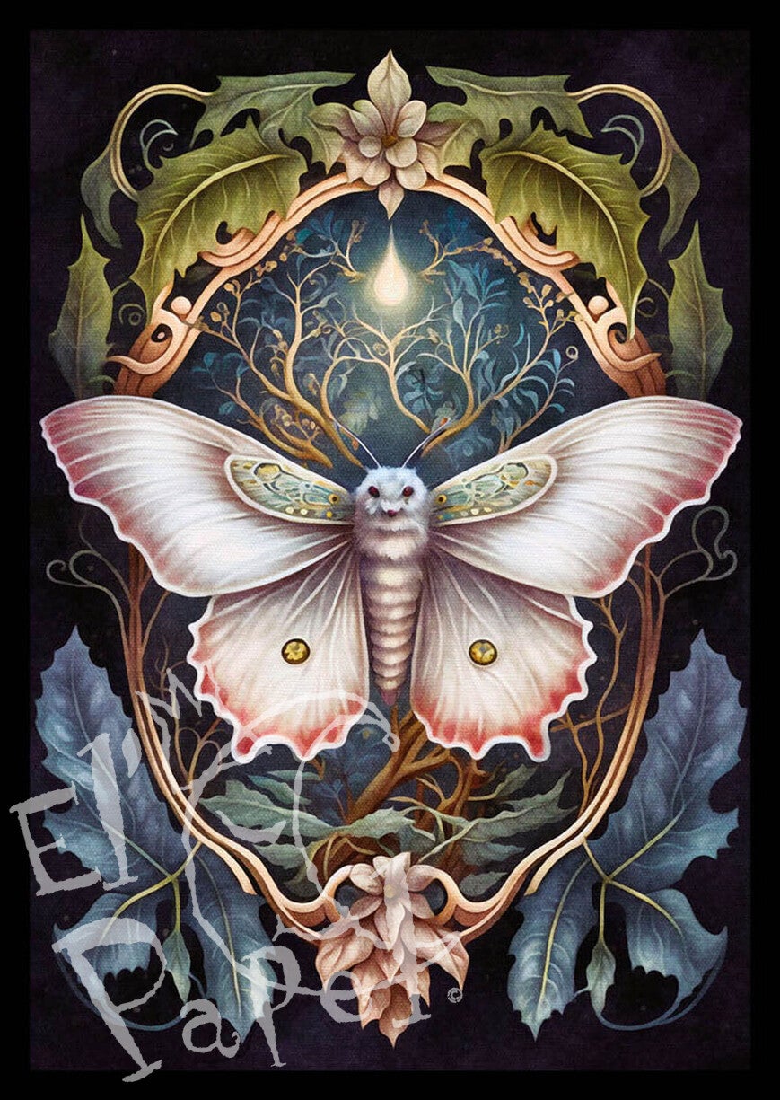 Ansichtkaart 'De witte vlinder'