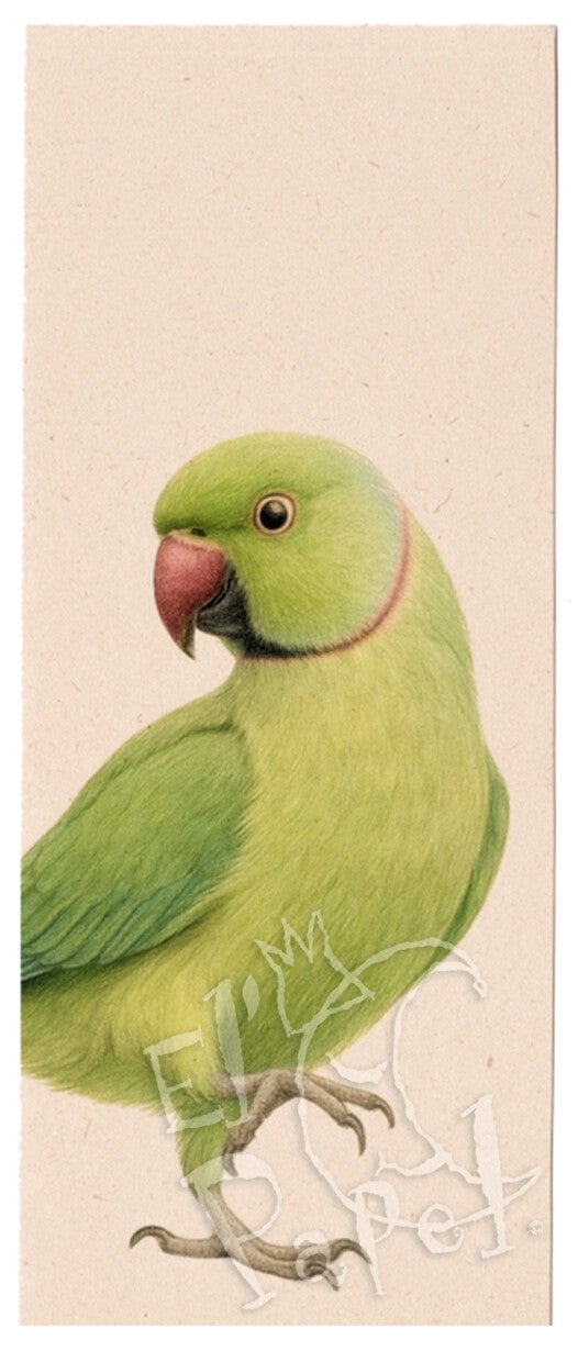 Lonneke Grimbergen - XL boekenlegger 'Halsbandparkiet'