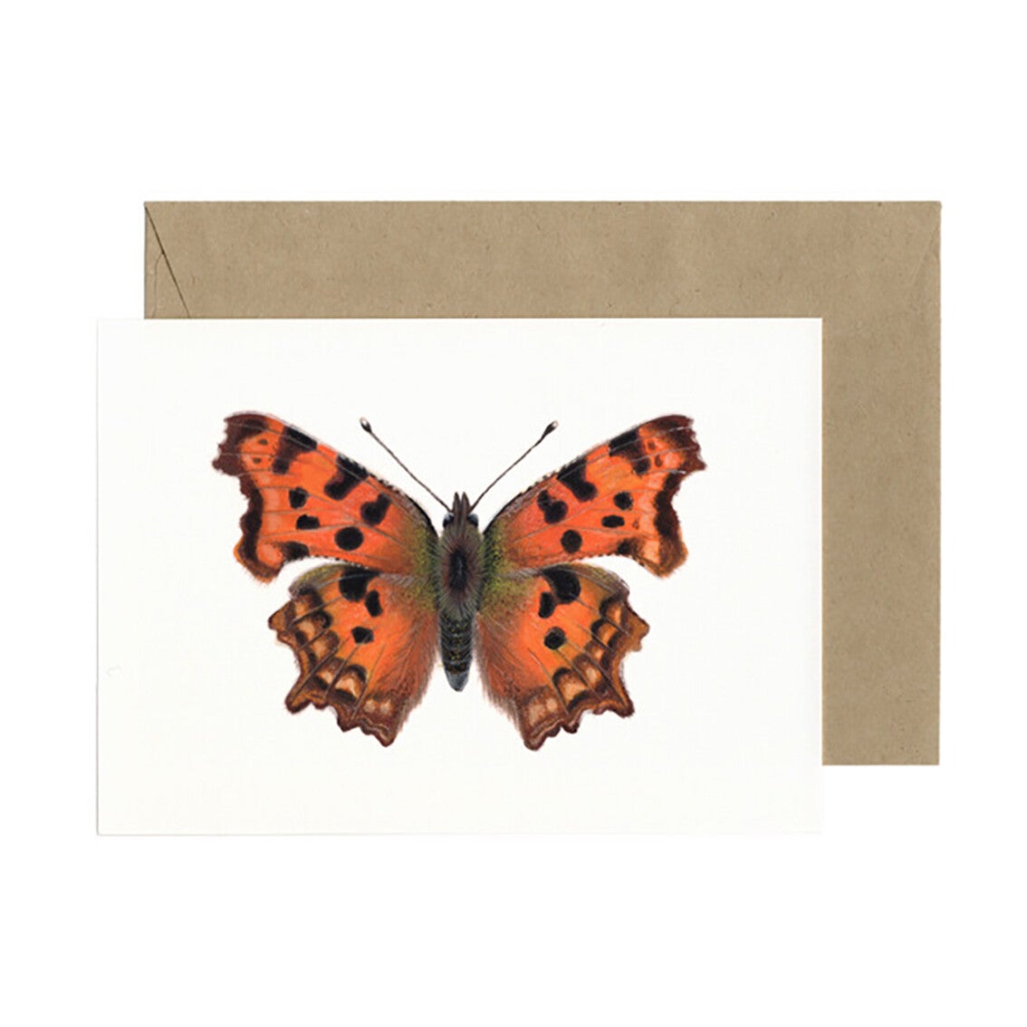 Lonneke Grimbergen ansichtkaart 'Gehakkelde Aureola'