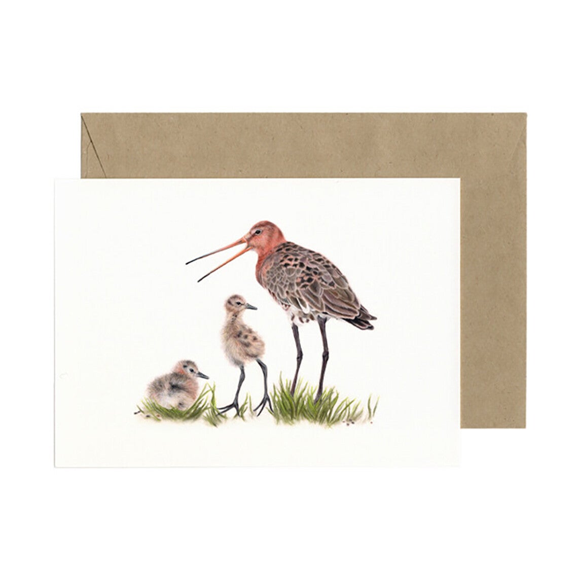 Lonneke Grimbergen ansichtkaart 'Grutto familie'