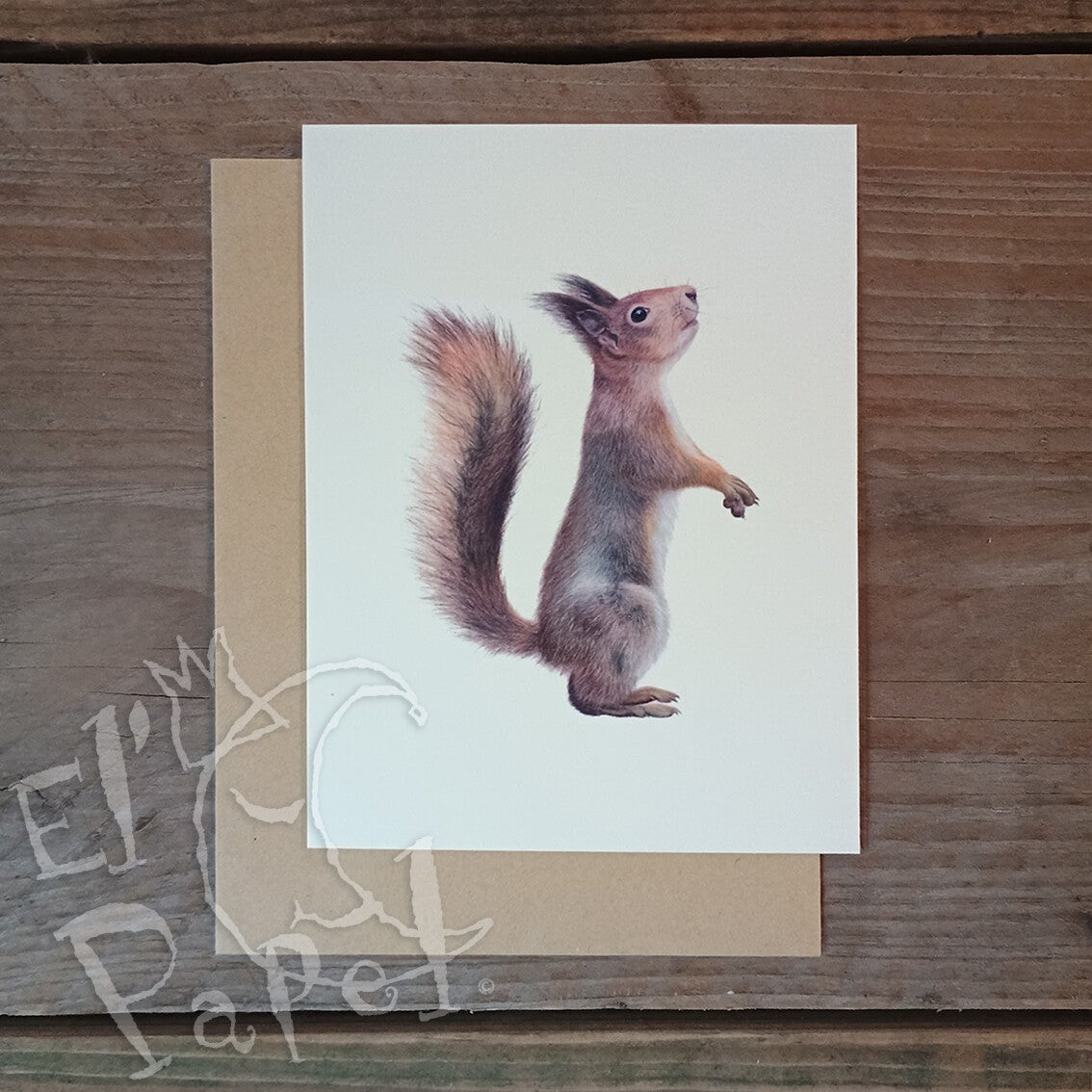 Lonneke Grimbergen ansichtkaart 'Eekhoorn'