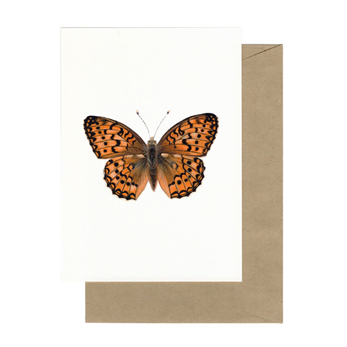 Lonneke Grimbergen ansichtkaart 'Grote Parelmoervlinder'