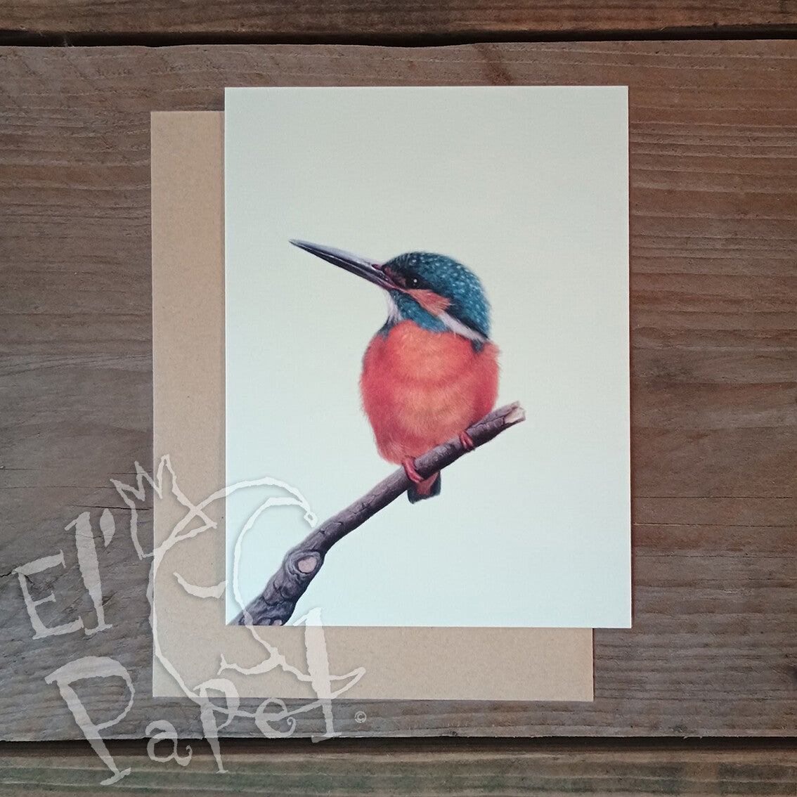 Lonneke Grimbergen ansichtkaart 'IJsvogel op een tak'