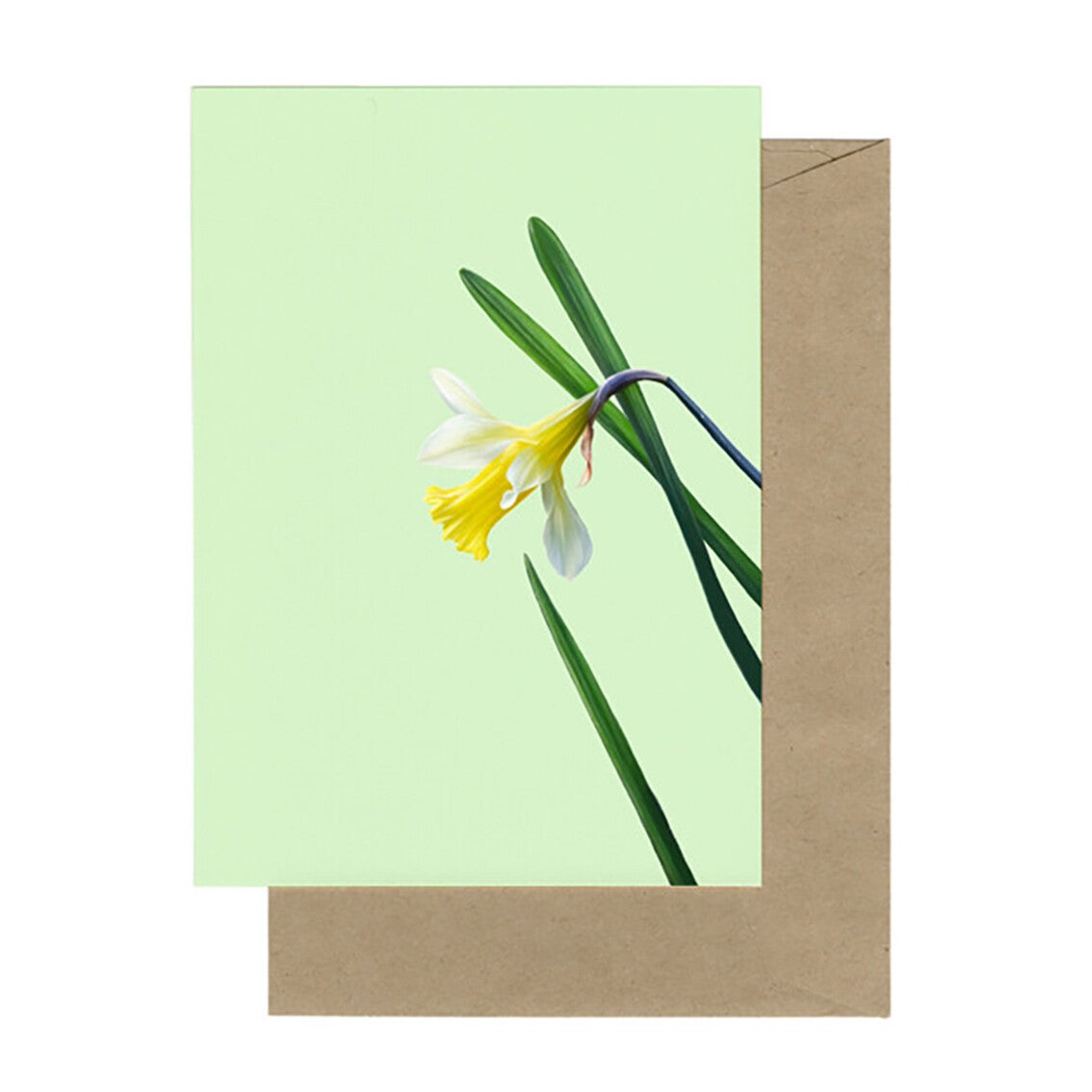 Lonneke Grimbergen ansichtkaart 'Wilde narcis'