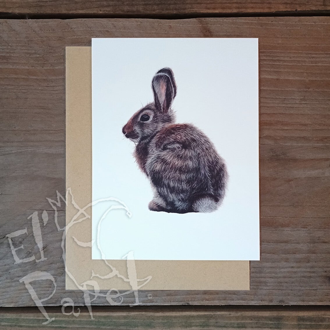 Lonneke Grimbergen ansichtkaart 'Konijn'