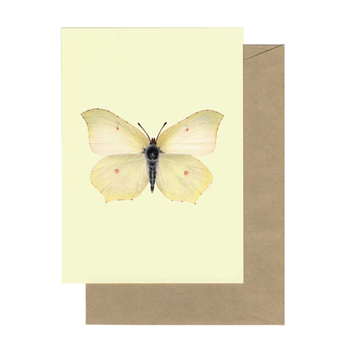Lonneke Grimbergen ansichtkaart 'Citroenvlinder'