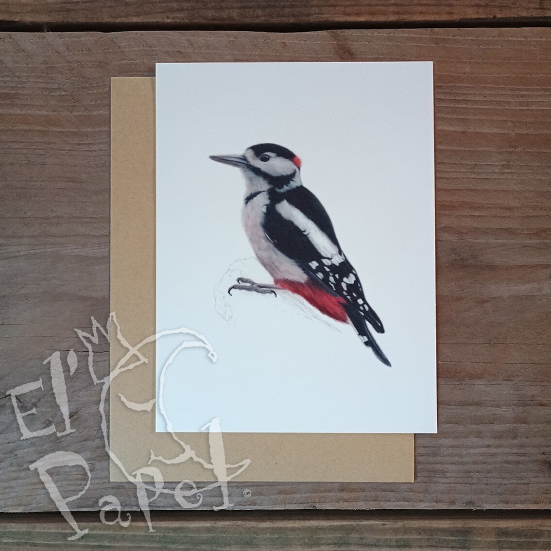 Lonneke Grimbergen ansichtkaart 'Grote Bonte Specht'