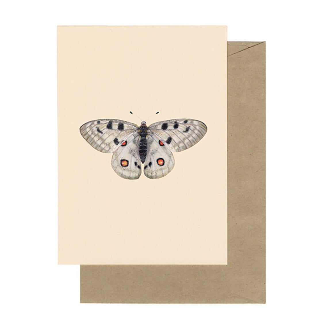 Lonneke Grimbergen ansichtkaart 'Apollovlinder'