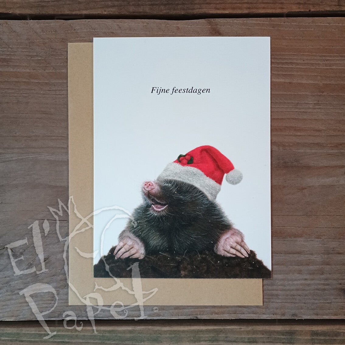 Lonneke Grimbergen Kerstkaart 'Mol'