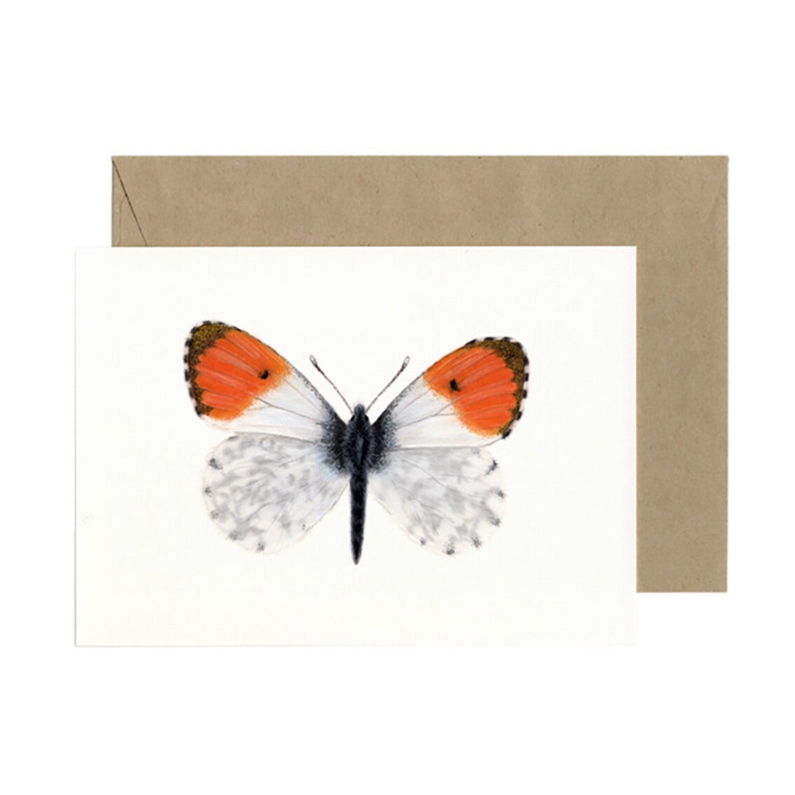 Lonneke Grimbergen ansichtkaart 'Oranjetipje'