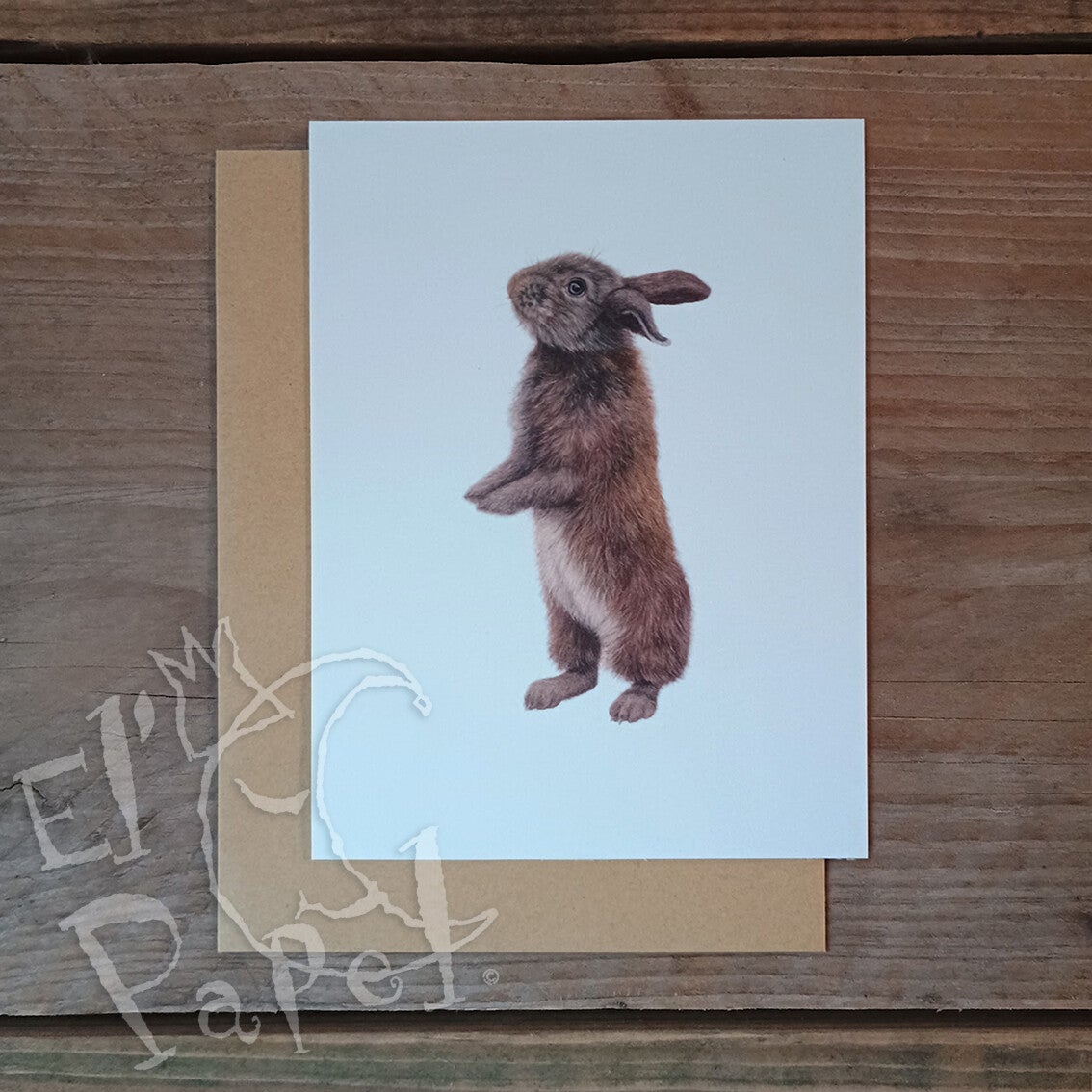 Lonneke Grimbergen ansichtkaart 'Jong konijn'