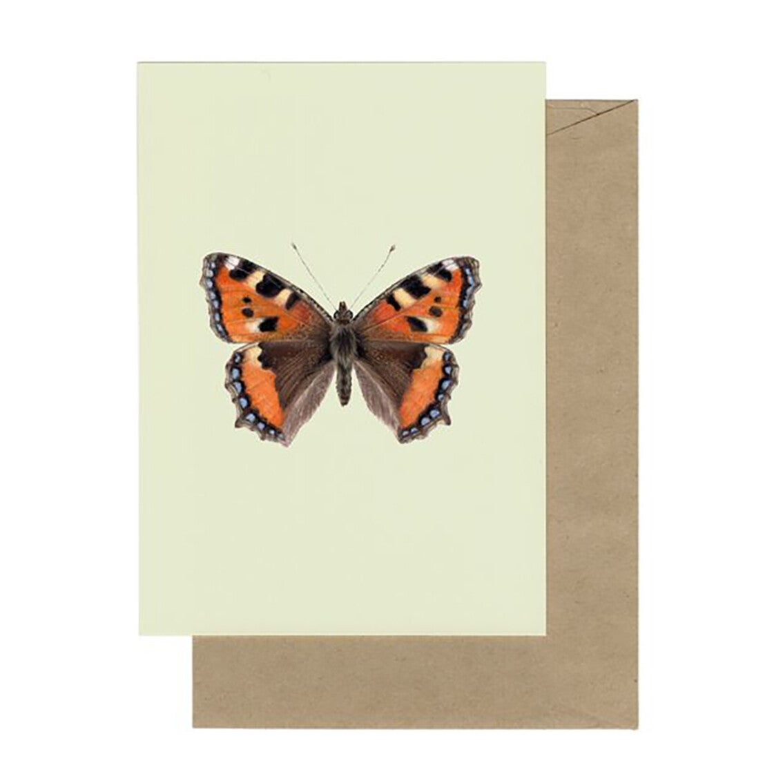 Lonneke Grimbergen ansichtkaart 'Kleine Vos'