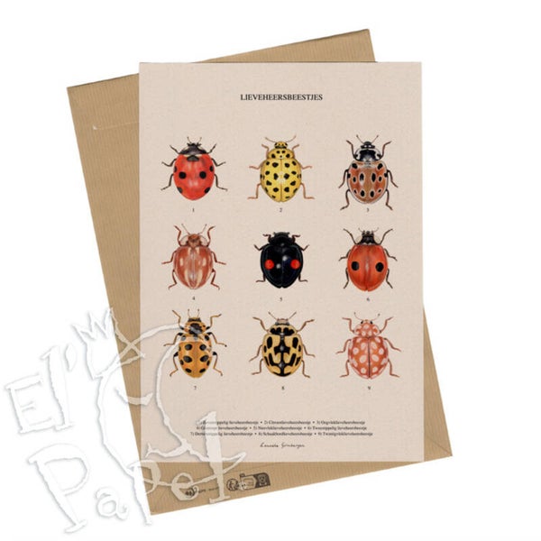 A4 Prent 'Lieveheersbeestjes' Lonneke Grimbergen Art