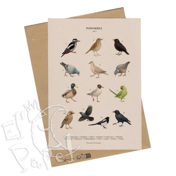 A4 Prent 'Tuinvogels-2' Lonneke Grimbergen Art