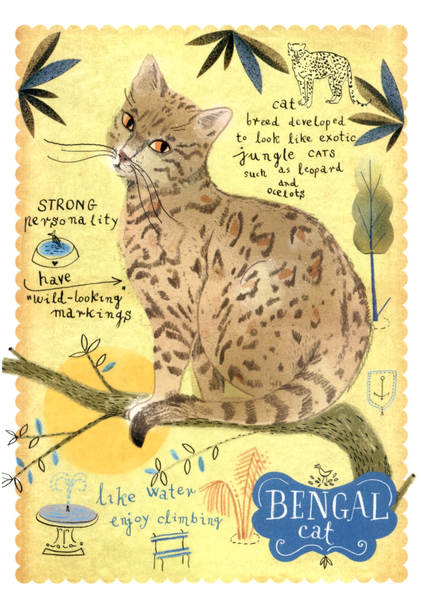 'Bengaalse kat' grote ansichtkaart Marianna Styma