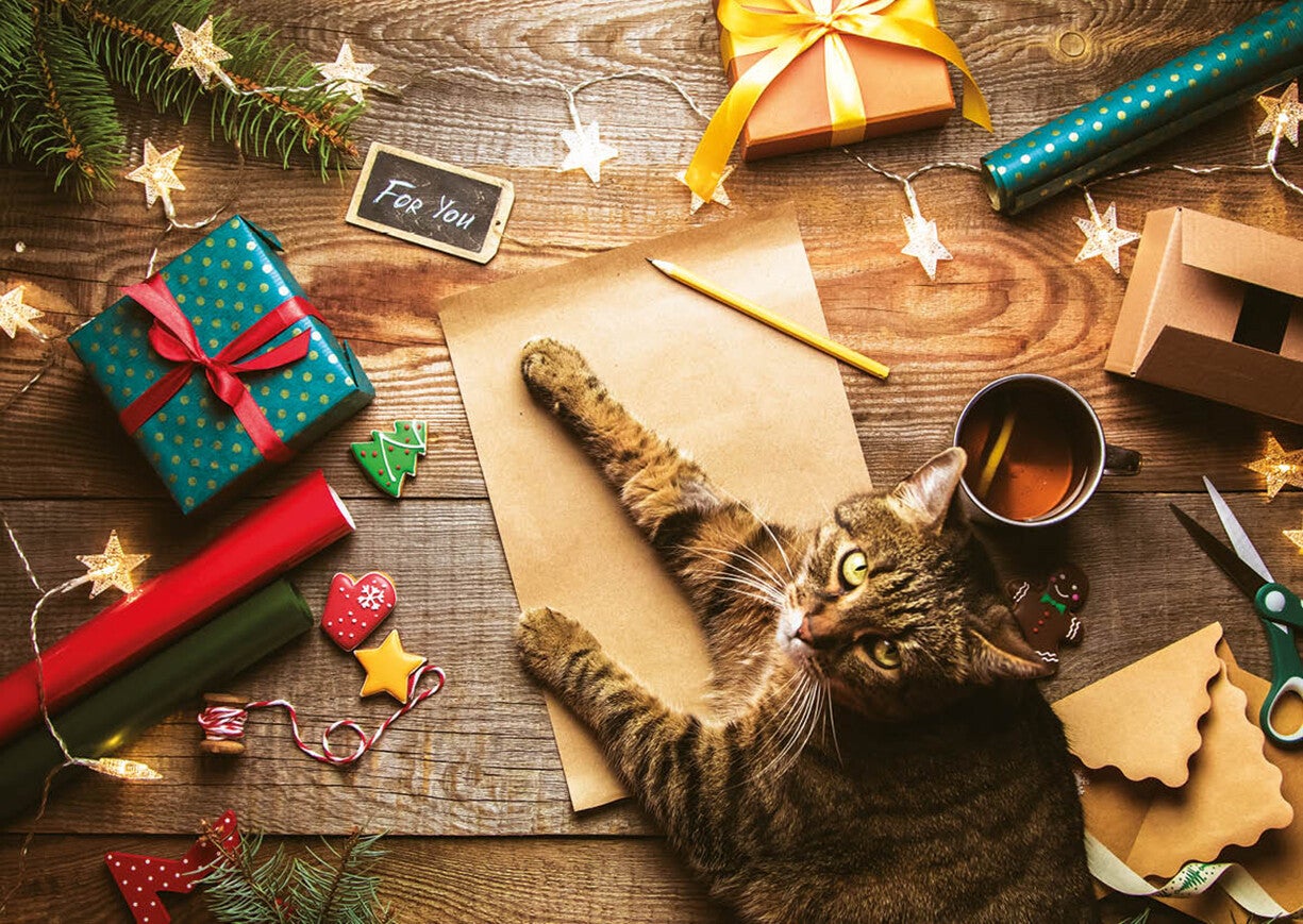Kerst ansichtkaart 'Kat & Kerstpakjes'