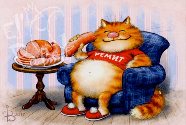 Ansichtkaart 'Ik ga voor quality time'