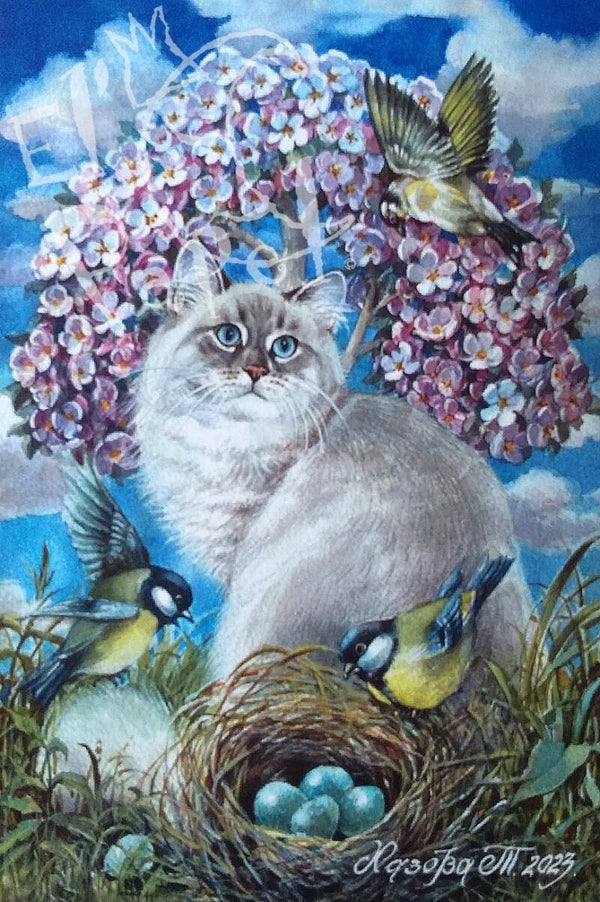 Ansichtkaart 'Voorjaarsactiviteiten'