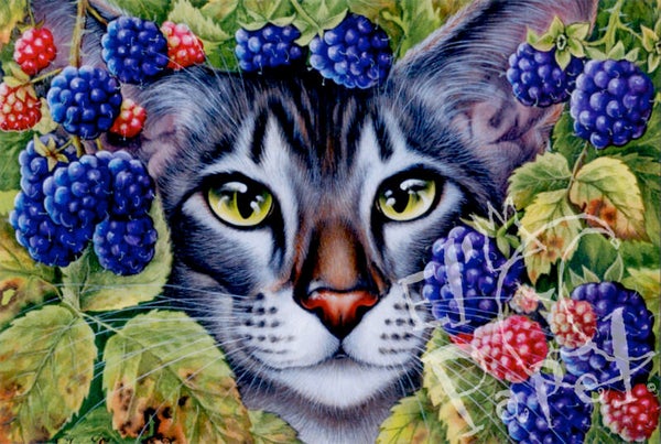 Ansichtkaart 'Tussen de bramen'