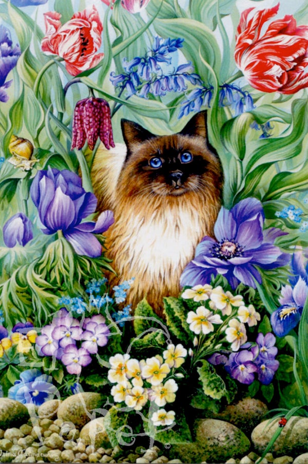 Ansichtkaart 'Tussen de bloempjes'